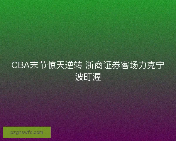 CBA末节惊天逆转 浙商证券客场力克宁波町渥